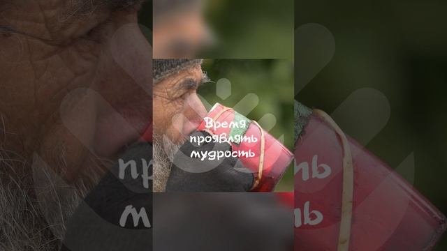 Время проявлять мудрость