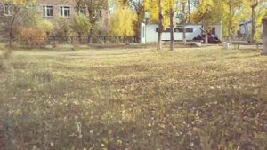 Наш город вихоревка мы тебя любим. Смотрите