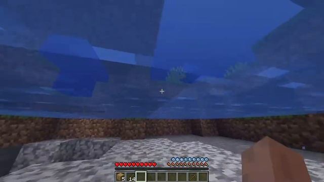 Minecraft  1 16 5   Одиночная игра 2021 02 19 16 08 28