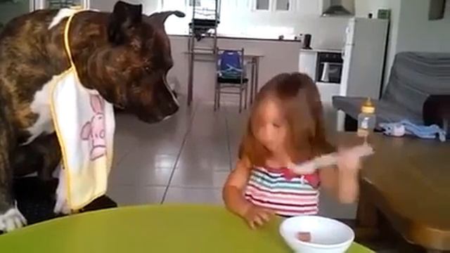 Пёс вместо куклы: «Ложечку за маму, ложечку за папу» смотреть онлайн