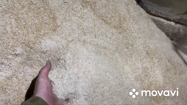 Кормление поросят!!! Новости на хозяйстве!!! смотреть онлайн