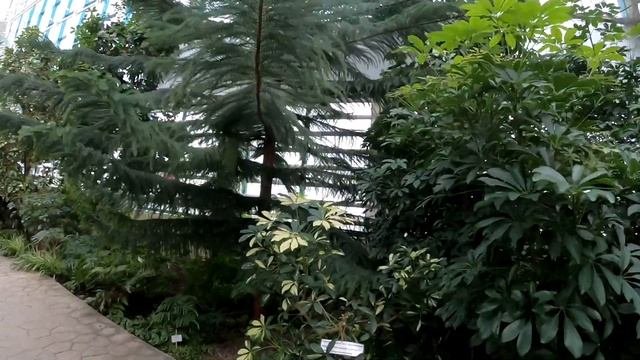 Я побывала в раю!!! Ботанический сад КемГУ в Кемерово