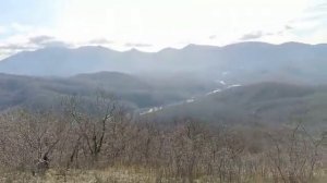 ПРОГУЛКИ В ГЕЛЕНЕ 82