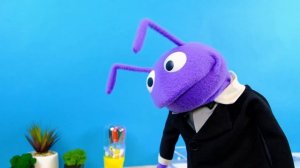 НОВАЯ МУРАВЬИНАЯ ФЕРМА - РАСПАКОВКА И ЗНАКОМСТВО С МИСТЕРОМ АНТОМ