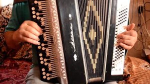 баян Эстрадин 8Б