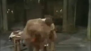 Маппет-шоу. Выступление Руд Баззи