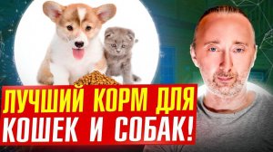 Корм №1 для здоровья и долголетия кошек и собак!