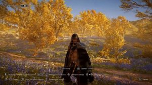 [ГАЙД] Assassin's Creed Valhalla ВОЛК ►способности всё оружие советы новичкам Ассасин Крид Вальгалла