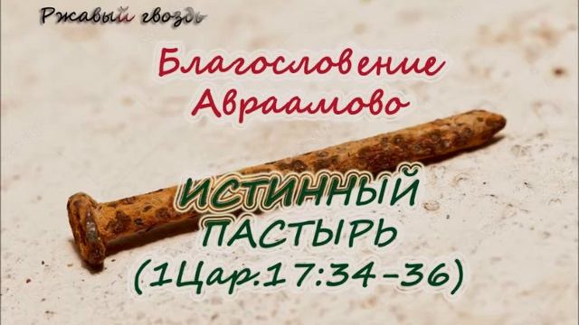 54.Истинный пастырь (1Цар.17:34-36)