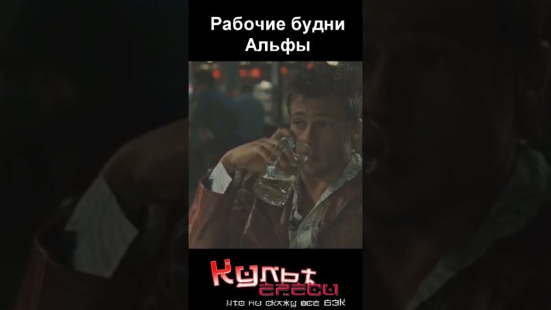 Рабочие будни Альфачей #shorts