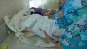 Выписка из роддома. Павел