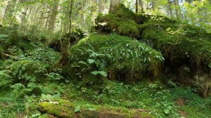 'Volkslied' 'Сказка нарисованная, о Марии заколдованной'