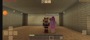 Играю в майнкрафт нашла деревню