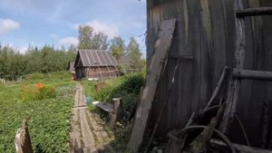 улов Новоназимово 2019