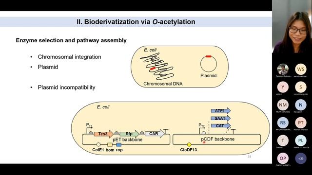 411311-65-2 SynBio @ NU สัปดาห์ที่ 2: Cell Factories & Metabolic Engineering by Pachara Sattayawat смотреть онлайн