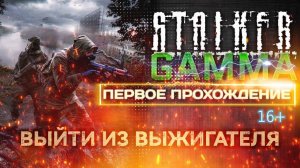 STALKER /// ANOMALY GAMMA ▶ МИССИЯ: Выйти из Выжигателя ▶ 24