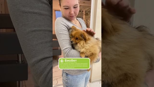 Скай пришел на прием с явными признаками беспокойства.