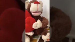 Влюблённый бабуин