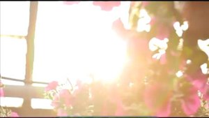 Галилео. Клумбы Москвы  Flowerbeds of Moscow