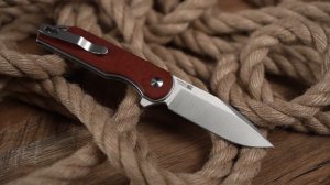 Про ножи: Kizer Assassin