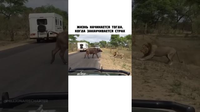 АИДА АХМЕТОВА_ УСПЕХ НАШЕЙ СТРАНЫ  НАЧИНАЕТСЯ ТАМ, ГДЕ ЗАКАНЧИВАЮТСЯ  СТРАХИ САМОГО ОБЩЕСТ