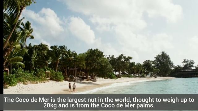 The Land of Perpetual Summer: Seychelles Islands. Interesting Facts and Information about Seychelle