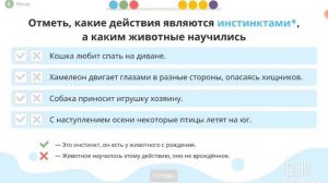 2-ой урок Обществознания на сайте Учи.ру