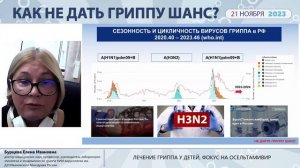 Номидес 21 ноября