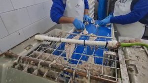 Оператор шкуросъемной машины - вакансия в ПТК Экор-Фиш в г. Балашиха