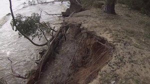 Размытый берег. Упавшие деревья. Шторм на Рыбинке.