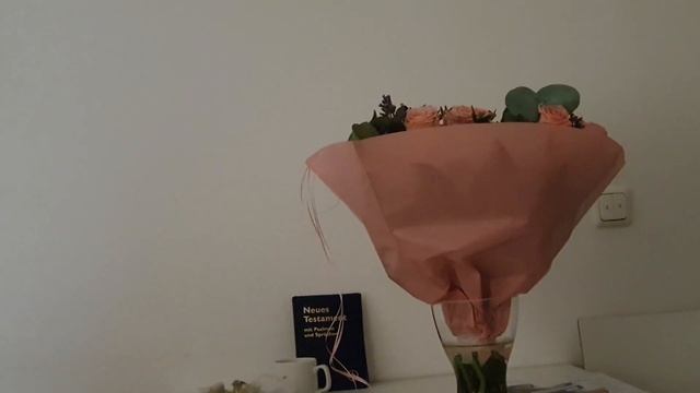 Germany VLOG#69. Как прошли мои роды) смотреть онлайн