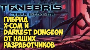 Tenebris: Terra Incognita. Гибрид X-COM и Darkest Dungeon от наших разработчиков  #darkestdungeon