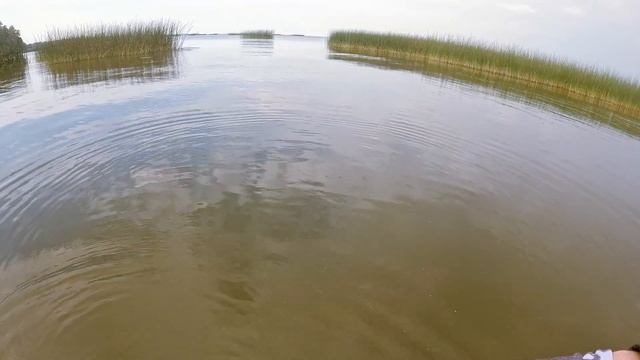 ЗДОРОВЫЕ ЛЕЩИ, Краснопёрка и другие РЫБЫ!Мормышинг. Финский залив. #мормышинг #nanojig #рыбалка