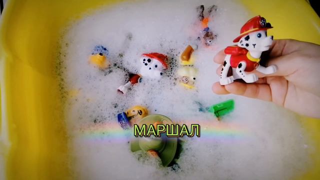 Щенячий патруль в РЕАЛЬНОСТИ! смотреть онлайн