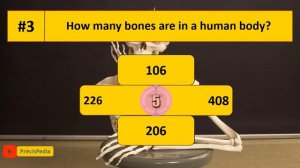 STEM Quiz Championship || STEM Quiz #1 || STEM Education Questions & Answers