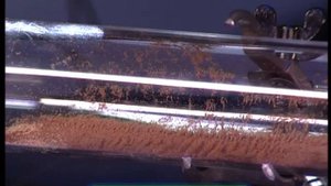 Галилео. Эксперимент. Стоячая волна