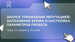 Запуск управления репутацией в Rookee: заполнение брифа и настройка параметров проекта