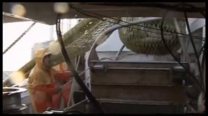 Галилео | Рыбий жир [Fish oil]