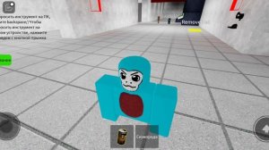 играю в roblox