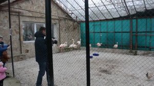 Эксперимент с едой трудно проводить в Тайгане!