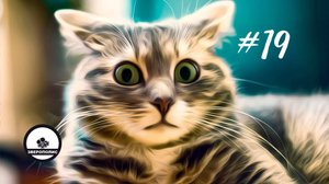 ПРИКОЛЫ С ЖИВОТНЫМИ ДО СЛЕЗ / Смешные КОТЫ / Приколы с ДОМАШНИМИ ПИТОМЦАМИ / Funny ANIMALS video#19
