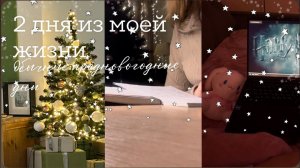 Обычные, предновогодние дни/ New Year’s days