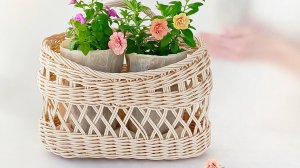 промо ролик:  дорбаскет Светлый