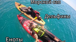 ПО МОРЮ НА САПЕ, ЕНОТЫ АТАКУЮТ, ДЕЛЬФИНЫ ПРИПЛЫЛИ...
