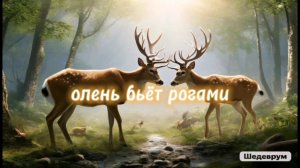 Олень бьёт рогами (столкновение рогами) #игрыпятизверей #цигун #цигунонлайн #цигундляначинающих