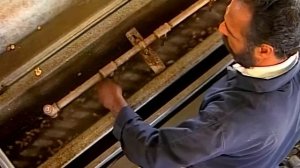 Галилео  Почему фисташки треснувшие?