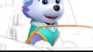 Раскрашиваем Эверест Щенячий Патруль Мультик Волшебная Раскраска