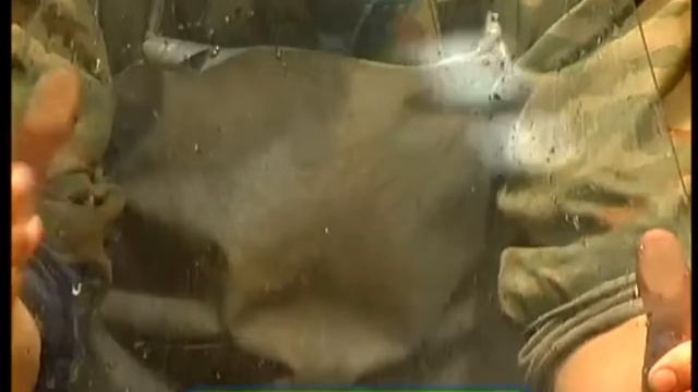 Галилео. Бронестёкла  Bulletproof glass