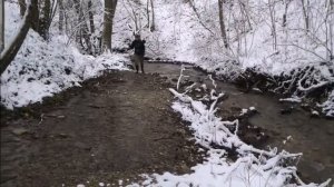 Зимой по ручью