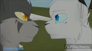{Cats Warriors} /Буду твоей куклой вуду/